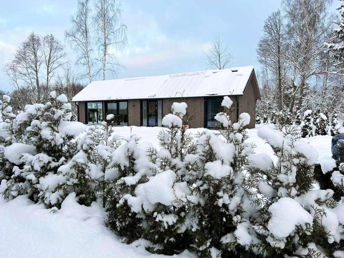 Paerli Puhkemaja / Pearl Riverside House Pudisoo Luaran gambar